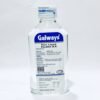 galways img