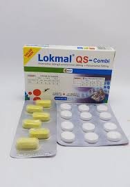 Lokmal QS