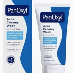 Panoxyl Acne Foaming Wash